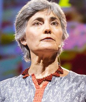 Robin Chase Speaker