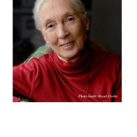 Jane Goodall Speaker
