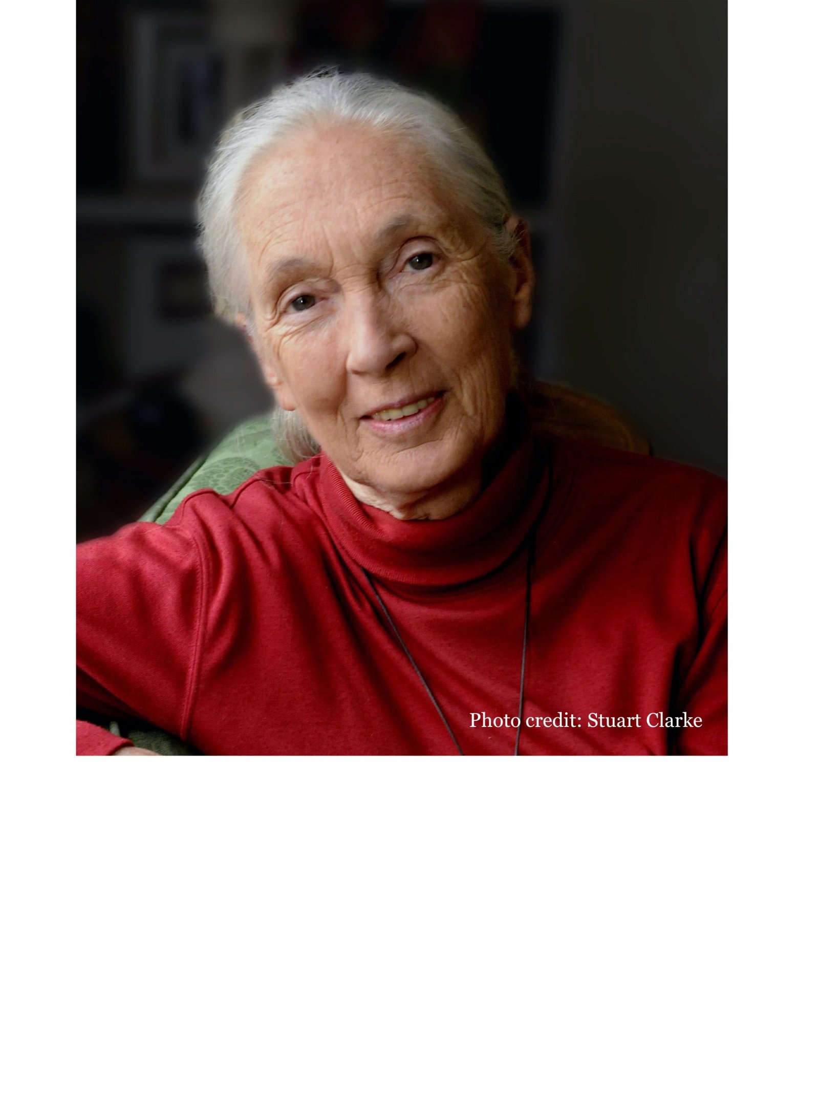 Jane Goodall Speaker