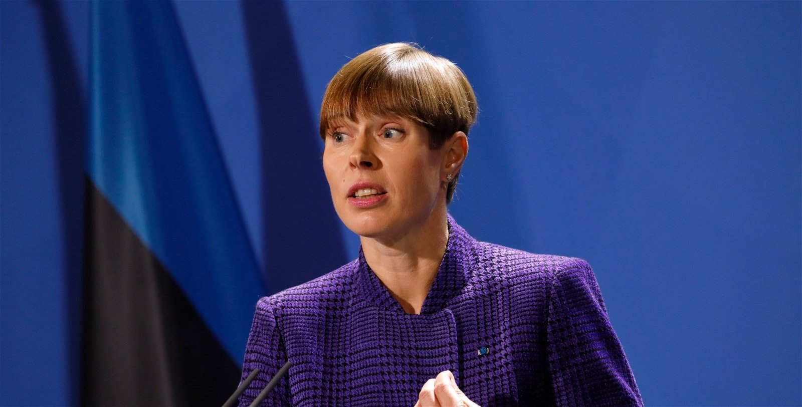 Kersti Kaljulaid header image